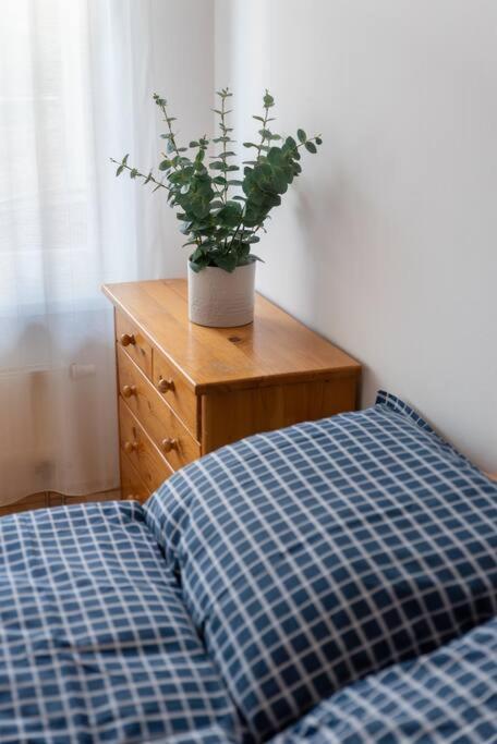 Grape Apartment Bratislava Luaran gambar